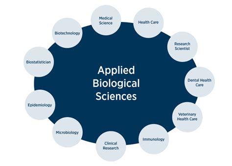 What Is A Bachelor S Degree In Biological Sciences Exploring The