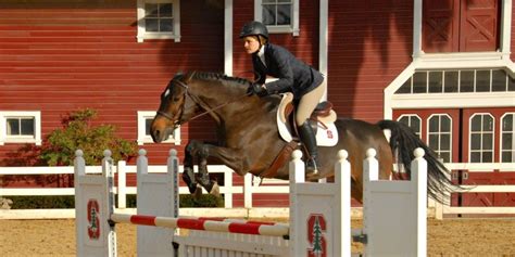 What Is Stanford Equestrian Team? Joining Guide