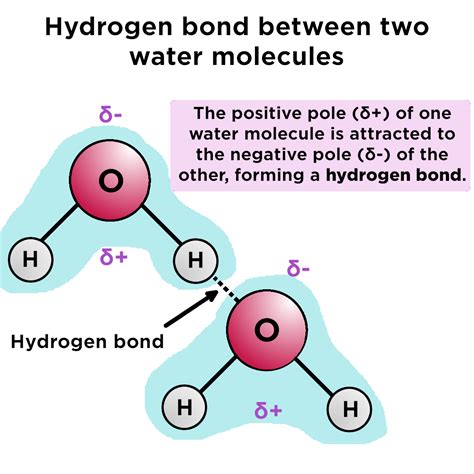 What Is The Charge Present On The Hydrogen When A Hydrogen Bond Is Formed