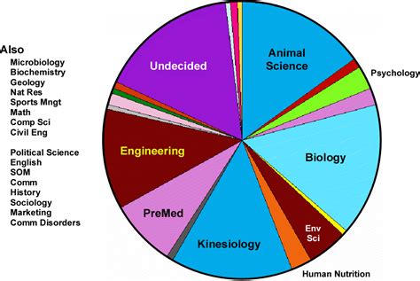 What Is Umass Amherst Chemistry? Degree Overview