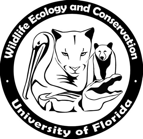 What To Know Before Wec At Uf? A Comprehensive Guide