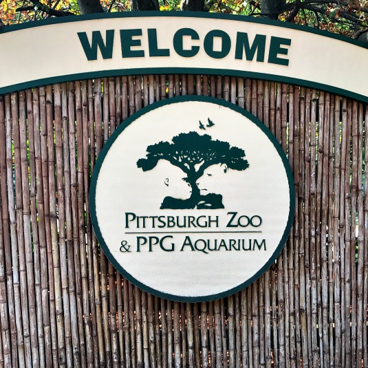 When To Visit Pittsburgh Zoo Ppg Aquarium? Best Times