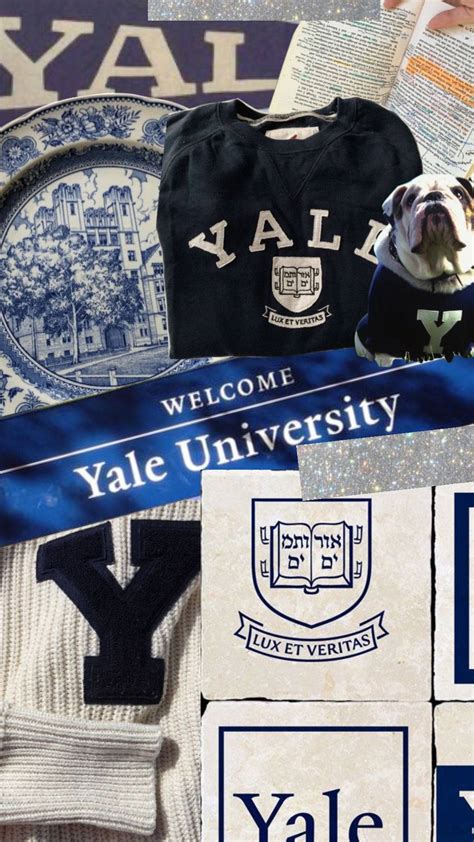 Yale University Swimming Black Atlantic